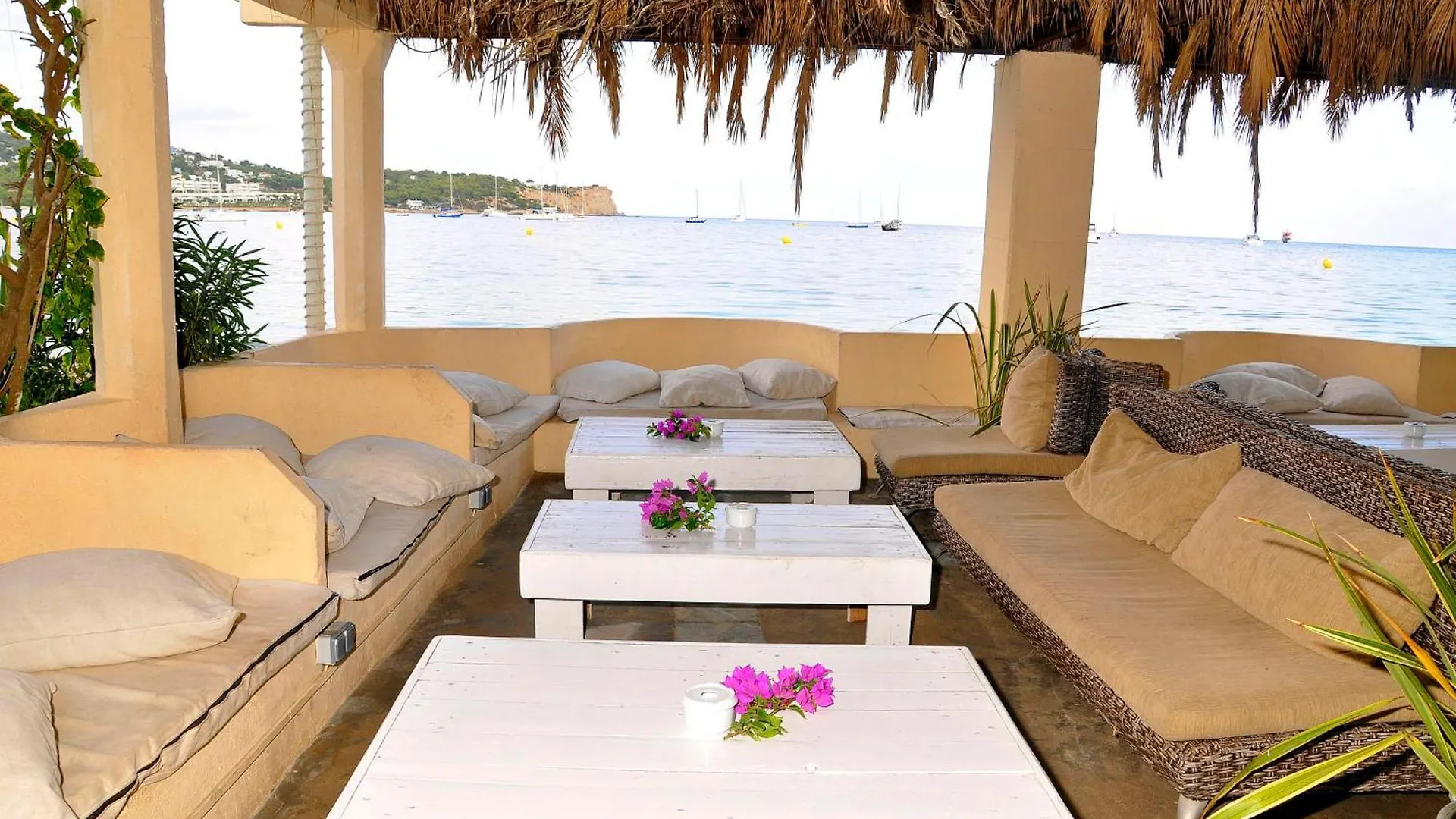 Guest house Hostal Talamanca